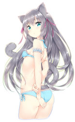 Rule 34 | 1girl, :&lt;, animal ears, aqua eyes, arm garter, arms behind back, ass, blue bra, blue panties, bra, breasts, cat ears, cat tail, choker, cowboy shot, cropped legs, from behind, hair ribbon, highres, long hair, looking back, panties, ribbon, ribbon choker, sideboob, silver hair, simple background, small breasts, solo, tail, underwear, underwear only, white background, zizi (zz22)