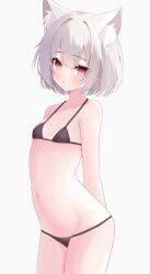 Rule 34 | 1girl, animal ear fluff, animal ears, bikini, black bikini, breasts, cat ears, cat girl, highres, looking at viewer, navel, original, parted lips, red eyes, short hair, simple background, sirotuki ito, small breasts, stomach, swimsuit, white background, white hair