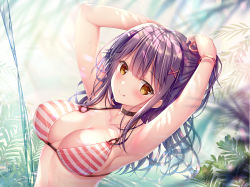 Rule 34 | 1girl, :q, armpits, arms up, bare arms, bare shoulders, bikini, black choker, blurry, blurry background, blush, breasts, brown eyes, choker, cleavage, closed mouth, collarbone, commentary request, depth of field, large breasts, long hair, looking at viewer, original, purple hair, sidelocks, smile, solo, sousouman, striped bikini, striped clothes, swimsuit, tongue, tongue out, tying hair, upper body, water, wet