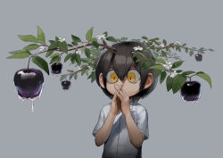 Rule 34 | 1other, absurdres, apple, black hair, branch, buttons, collared shirt, food, fruit, grey background, highres, leaf, nonentityyouth, original, own hands together, plant, shirt, short hair, short sleeves, simple background, solo, upper body, white shirt, yellow eyes