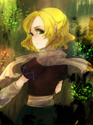 Rule 34 | 1girl, arm warmers, bad id, bad pixiv id, blonde hair, chiri (o9o9), female focus, from behind, green eyes, looking back, mizuhashi parsee, pointy ears, scarf, short hair, solo, touhou