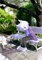 Rule 34 | 1girl, animal ears, bench, black pantyhose, cat ears, day, full body, green eyes, highres, jacket, lolicom, long sleeves, looking at viewer, original, outdoors, pantyhose, pantyhose under shorts, shoes, short hair, shorts, sitting, smile, sneakers, solo, sunlight, tree, white hair
