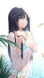 Rule 34 | 1girl, absurdres, aqua eyes, bikini, black hair, blouse, collarbone, cowboy shot, hands up, highres, holding, holding own hair, in water, long hair, long sleeves, looking at viewer, original, reeds, see-through, see-through shirt, shirt, smile, solo, standing, swimsuit, wading, water, wet, wet clothes, wet shirt, white background, white shirt, yujongzzang