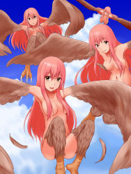 Rule 34 | 4girls, armpits, breasts, cloud, completely nude, convenient censoring, convenient leg, day, feathered wings, feathers, flying, hair censor, harpy, highres, long hair, medium breasts, monster girl, multiple girls, navel, nude, original, pink hair, raseruta, sidelocks, sky, smile, talons, winged arms, wings, yellow eyes