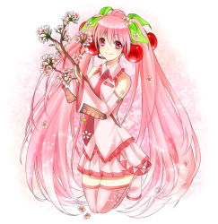 Rule 34 | 1girl, bad id, bad pixiv id, branch, cherry, cherry blossoms, detached sleeves, food, fruit, hatsune miku, irohara, kneeling, long hair, name connection, necktie, object namesake, pink eyes, pink hair, pink theme, sakura miku, skirt, solo, thighhighs, twintails, very long hair, vocaloid