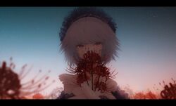 Rule 34 | 1girl, bare shoulders, blue sky, blurry, chocoshi, commentary request, depth of field, field, flower, flower field, highres, letterboxed, light particles, looking at viewer, original, red eyes, red flower, short hair, sky, solo, spider lily, upper body, white hair