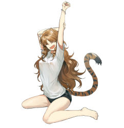 Rule 34 | 1girl, animal ears, arknights, arms up, bare legs, barefoot, black shorts, bracelet, breasts, commentary, drill hair, english commentary, fang, highres, jewelry, kupikuuu, light brown hair, long hair, medium breasts, open mouth, shirt, short shorts, short sleeves, shorts, side drill, simple background, sitting, solo, stretching, swire (arknights), tail, thighs, tiger ears, tiger tail, twin drills, wavy hair, white background, white shirt, yawning