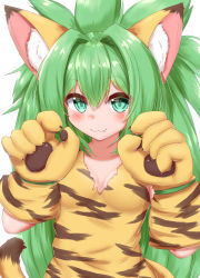 Rule 34 | 1girl, :3, animal ear fluff, animal ears, blush, breasts, cham cham, closed mouth, fang, fang out, fox ears, fox girl, green eyes, green hair, highres, horokusa (korai), long hair, looking at viewer, samurai spirits, simple background, small breasts, smile, solo, spiked hair, tail, tiger ears, tiger girl, tiger tail, white background