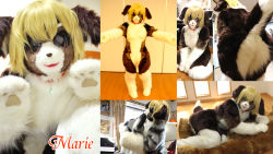 Rule 34 | animal ears, animal hands, asian, ass, blonde hair, bodysuit, collar, cosplay, costume, dog, dog ears, dog tail, furry, furry male, japanese (nationality), kneeling, leaning forward, looking at viewer, lying, male focus, marie, mask, photo (medium), presenting, smile, standing, tail, tashiro yuu