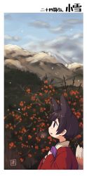Rule 34 | 1girl, animal ears, berry, black hair, blue sky, breath, cloud, commentary request, fox ears, fox girl, fox tail, japanese clothes, kimono, kukuri (mawaru), long sleeves, mawaru (mawaru), mountain, original, outdoors, parted lips, profile, red eyes, short hair, sky, sleeves past wrists, snowing, solo, tail, translation request, upper body, white kimono, wide sleeves