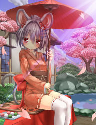 Rule 34 | 1girl, absurdres, alternate costume, animal ears, bench, blue sky, blush, cherry blossoms, cloud, dango, day, flower, food, greatmosu, grey hair, hair flower, hair ornament, highres, japanese clothes, kimono, long sleeves, mouse ears, mouse tail, nazrin, obi, oil-paper umbrella, petals, plate, pond, red eyes, red kimono, sash, sitting, sky, smile, solo, sunlight, tail, thighhighs, touhou, tree, umbrella, wagashi, white thighhighs, wide sleeves, yukata, zettai ryouiki