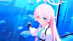 Rule 34 | 1girl, :d, ahoge, angelfish, animal, artist request, blue archive, blue eyes, blue necktie, blush, collared shirt, commentary request, fish, game cg, halo, heterochromia, highres, hoshino (blue archive), long hair, long sleeves, looking at viewer, necktie, non-web source, official art, open mouth, pink hair, plaid, plaid skirt, pleated skirt, puffy long sleeves, puffy sleeves, shirt, shoes, skirt, smile, solo, stingray, surgeonfish, upper body, very long hair, yellow eyes