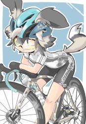 Rule 34 | 10s, 1girl, ;), african wild dog (kemono friends), alternate costume, animal ears, ategon, bad id, bad pixiv id, bare arms, bare legs, bicycle, bicycle helmet, bike shorts, biker clothes, black hair, closed mouth, contemporary, dog ears, dog tail, ears through headwear, gloves, green eyes, grey hair, helmet, highres, japari symbol, kemono friends, leaning forward, leaning on object, looking at viewer, lucky beast (kemono friends), multicolored hair, one eye closed, shirt, short sleeves, smile, solo, sportswear, standing, sticker, tail, two-tone hair