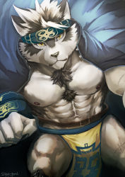 Rule 34 | 1boy, abs, animal ears, bara, bare pectorals, bulge, chest hair, contrapposto, furry, furry male, grey fur, grey hair, headband, highres, horkeu kamui, jacket, jacket on shoulders, large pectorals, looking at viewer, male focus, multicolored hair, muscular, navel, nipples, pectorals, pelvic curtain, revealing clothes, short hair, sky (sora no gomibako), solo, tokyo houkago summoners, two-tone fur, white fur, wolf boy, wolf ears, yellow eyes