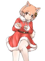 Rule 34 | 1girl, alternate costume, animal ears, bow, bowtie, brown eyes, cowboy shot, dog (mixed breed) (kemono friends), dog ears, dog girl, dog tail, dress, fur collar, fur trim, hair bow, highres, kemono friends, light brown hair, multicolored hair, pantyhose, paw pose, red dress, santa costume, solo, tail, two-tone hair, uf34a, white bow, white bowtie, white fur, white hair, white pantyhose