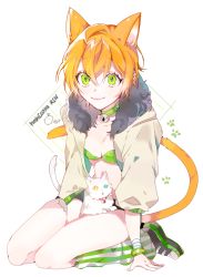 Rule 34 | 10s, 1girl, animal, animal ears, animal on lap, bad id, bad pixiv id, bandaged arm, bandages, bell, bikini, bikini top only, bracelet, breasts, cat, cat ears, choker, cleavage, closed mouth, fang, full body, fur trim, green eyes, hair between eyes, heterochromia, hoshizora rin, jacket, jewelry, kemonomimi mode, leg warmers, looking at viewer, love live!, love live! school idol project, neck bell, on lap, orange hair, paw print, piyo (ppotatto), shoes, short hair, sitting, small breasts, smile, socks, solo, striped clothes, striped legwear, striped socks, swimsuit, vertical-striped clothes, vertical-striped socks, white background