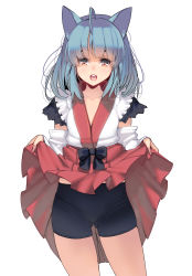 Rule 34 | 1girl, absurdres, ahoge, animal ears, bike shorts, blue hair, blunt bangs, brown eyes, clothes lift, detached sleeves, hakama, hakama lift, hakama skirt, highres, japanese clothes, kouno (masao), lifted by self, looking at viewer, nontraditional miko, open mouth, original, photoshop (medium), simple background, skirt, skirt lift, solo, standing, white background