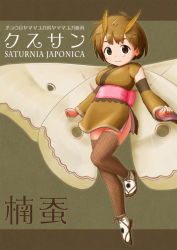 Rule 34 | 1girl, antennae, arthropod girl, blush, brown background, brown eyes, brown hair, closed mouth, commentary request, detached sleeves, fishnet thighhighs, fishnets, insect girl, insect wings, japanese clothes, kimono, kimono skirt, li yang (liyan6464), long sleeves, looking at viewer, moth girl, moth wings, obi, original, personification, sandals, sash, scientific name, short hair, smile, solo, thighhighs, translation request, wings