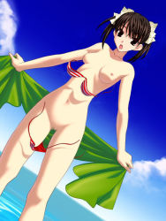 Rule 34 | 1girl, bikini, breasts, brown eyes, brown hair, censored, day, dutch angle, ever 17, matsunaga sara, medium breasts, nipples, nude, ocean, open mouth, outdoors, rotated, sarong, short hair, solo, striped, swimsuit, third-party edit, towel, twintails, unworn sarong, wardrobe malfunction