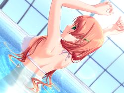 Rule 34 | 1girl, akibakei kanojo, aoi ren, arms up, back, bikini, breasts, dutch angle, covered erect nipples, game cg, green eyes, hair ornament, hairclip, huge breasts, long hair, pink hair, pool, sano toshihide, sideboob, solo, swimsuit, underboob, water, wet