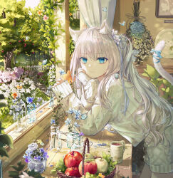 Rule 34 | 1girl, absurdres, animal ears, apple, basket, blue eyes, bouquet, bug, butterfly, cat ears, cat girl, cat tail, coffee, coffee mug, commentary request, cowboy shot, cup, day, flower, food, fruit, fuunyon, garden, hair flower, hair ornament, hair ribbon, highres, holding, holding flower, indoors, insect, leaning on object, long hair, long sleeves, looking at viewer, mug, open window, original, plant, ribbon, shorts, side ponytail, solo, sunlight, sweater, tail, tail ornament, tail ribbon, tree, vase, white hair, wind, window