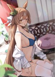 Rule 34 | 1girl, animal ears, bad id, bad pixiv id, bare shoulders, bikini, blue bikini, blurry, blurry background, blush, braid, breasts, brown eyes, brown hair, cleavage, collarbone, depth of field, hair ornament, hair ribbon, half updo, highres, indoors, large breasts, long hair, long sleeves, looking at viewer, navel, off shoulder, open clothes, open mouth, open shirt, plant, ribbon, satono diamond (umamusume), shirt, simao (x x36131422), sitting, skindentation, solo, stomach, string bikini, swimsuit, thighhighs, thighs, umamusume, very long hair, white shirt, white thighhighs