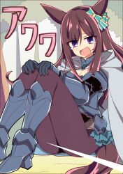 Rule 34 | 1girl, alternate costume, animal ears, armor, breasts, cape, closed mouth, commentary request, crying, forest, gloves, hair between eyes, hair ornament, highres, horse ears, horse girl, horse tail, knees up, looking at viewer, mejiro dober (umamusume), nature, pantyhose, purple eyes, solo, streaming tears, sword, tail, tears, tree, umamusume, wahiko (black bastard), weapon