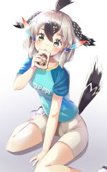Rule 34 | 1girl, absurdres, animal ears (norankkori), bird tail, bird wings, black hair, blush, bread slice, clothes writing, commentary, eating, feather hair ornament, feathers, food, greater roadrunner (kemono friends), grey hair, hair ornament, head wings, highres, kemono friends, kemono friends 2, multicolored hair, shirt, shoes, short hair, short sleeves, shorts, sidelocks, sitting, sneakers, socks, solo, star (symbol), t-shirt, tail, toast, wariza, wings, yellow eyes