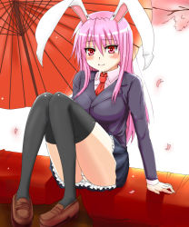 Rule 34 | 1girl, animal ears, bad id, bad pixiv id, black thighhighs, blazer, blush, female focus, jacket, loafers, long hair, necktie, oil-paper umbrella, panties, pantyshot, petticoat, pink hair, purple hair, rabbit ears, red eyes, red necktie, reisen udongein inaba, shoes, sitting, skirt, solo, striped clothes, striped panties, thighhighs, touhou, umbrella, underwear, upskirt, wancor