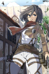 Rule 34 | 1girl, black hair, blue eyes, breasts, colorized, cropped jacket, dual wielding, hair between eyes, holding, leaf, magister, mikasa ackerman, pants, scarf, shingeki no kyojin, short hair, small breasts, solo, thigh strap, three-dimensional maneuver gear, weapon, wind