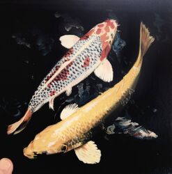 Rule 34 | 1other, animal, animal focus, carp, dark, fish, original, painting (medium), realistic, shadow, shibakaka, traditional media, watercolor (medium)