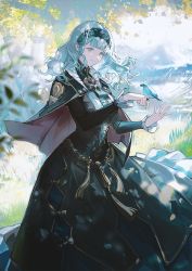 Rule 34 | 1girl, animal, bird, bird on hand, black dress, black hairband, blue bird, blue cape, blunt bangs, cape, center frills, closed mouth, commentary, dress, fire emblem, fire emblem: three houses, fire emblem warriors: three hopes, floating hair, frills, grey eyes, hairband, highres, lace hairband, leaf, long hair, long sleeves, looking at another, looking away, marianne von edmund, mountain, mountainous horizon, nature, neriash, nintendo, outdoors, red cape, smile, tree, two-tone cape, wavy hair