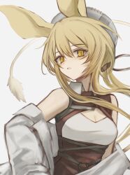 Rule 34 | 1girl, 3 (sanyako1), animal ears, arknights, bare shoulders, blonde hair, breasts, cleavage, cleavage cutout, clothing cutout, commentary request, dorothy (arknights), grey jacket, hat, highres, jacket, long sleeves, looking at viewer, medium breasts, mouse ears, mouse girl, mouse tail, open clothes, open jacket, parted lips, partial commentary, simple background, solo, tail, underbust, upper body, white background, white hat, yellow eyes