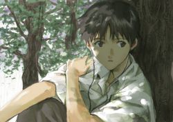 Rule 34 | 1boy, black eyes, black hair, black pants, branch, collared shirt, commentary request, earphones, hand on own shoulder, ikari shinji, in tree, leaf, looking to the side, male focus, mc (k0111s), neon genesis evangelion, official style, pants, parted bangs, partially opened mouth, shirt, short hair, sitting, sitting in tree, solo, tree, white shirt