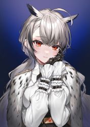 Rule 34 | 1girl, animal ears, black gloves, blue background, closed mouth, gloves, grey hair, hands up, highres, long hair, looking at viewer, original, own hands together, red eyes, solo, upper body, usuke (u skeeep)