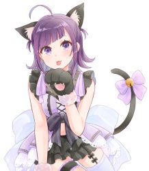 Rule 34 | 1girl, ahoge, animal ears, animal hands, cat ears, cat tail, check (check book), commentary request, dress, hanayori jyoshiryou, kohigashi hitona, looking at viewer, navel, purple eyes, ribbon, short hair, sleeveless, solo, tail, tail ornament, tail ribbon, tongue, tongue out, transparent background, virtual youtuber