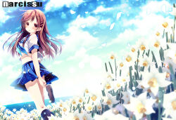 Rule 34 | 1girl, black socks, blue neckerchief, blue sailor collar, blue skirt, blue sky, brown eyes, brown hair, commentary request, copyright name, crop top, flower, hair ornament, hairclip, hikanyan, holding, holding shoes, long hair, looking back, narcissu, daffodil, neckerchief, outdoors, parted lips, pleated skirt, sailor collar, sailor shirt, sakura setsumi, school uniform, serafuku, shirt, shoes, short sleeves, skirt, sky, socks, solo, white flower, white shirt