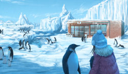 Rule 34 | 1girl, 7-eleven, bird, black hair, blue sky, building, chick, cloud, commentary request, convenience store, day, earmuffs, emperor penguin, from behind, fur trim, hat, ice, jacket, knit hat, long hair, long sleeves, original, outdoors, penguin, pom pom (clothes), purple jacket, roke (taikodon), scenery, shop, sky, solo, upper body, white hat