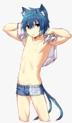 Rule 34 | 1boy, absurdres, animal ears, armpits, bishounen, blue eyes, blue hair, bulge, cat boy, cat ears, cat tail, commentary, commentary request, cowboy shot, highres, looking at viewer, male focus, male underwear, nipples, open mouth, original, pectorals, short hair, simple background, solo, tail, topless male, underwear, white background, zutaboro
