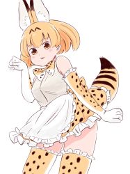 Rule 34 | 10s, 1girl, :3, animal ears, apron, bare shoulders, batta (ijigen debris), blush, bow, bowtie, commentary request, elbow gloves, gloves, grey shirt, highres, kemono friends, looking at viewer, orange eyes, orange hair, orange thighhighs, parted lips, paw pose, serval (kemono friends), serval print, serval tail, shirt, short hair, simple background, smile, solo, tail, thighhighs, waist apron, white apron, white background