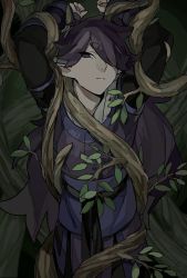 Rule 34 | 1boy, arms up, drruraguchi, expressionless, fengxi (the legend of luoxiaohei), hair over one eye, highres, leaf, looking at viewer, plant, pointy ears, solo, luo xiaohei zhanji