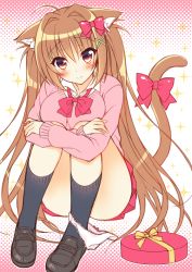 Rule 34 | 1girl, akashi (akashimichi), animal ears, blush, bow, box, breasts, brown hair, cardigan, cat ears, cat tail, gift, gift box, hair bow, large breasts, long hair, looking at viewer, multicolored eyes, original, panties, panties around leg, sitting, smile, socks, solo, tail, tail bow, tail ornament, underwear, very long hair