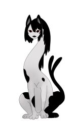 black_hair cat commentary creature english_commentary full_body highres kiki_(cr_watari) long_neck multiple_tails no_humans original simple_background tail white_background