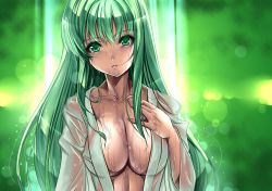 Rule 34 | 1girl, breasts, cleavage, female focus, green eyes, green hair, hand on own chest, kochiya sanae, large breasts, long hair, matching hair/eyes, parted lips, saburou (hgmg), see-through, see-through silhouette, solo, touhou, wet, wet clothes