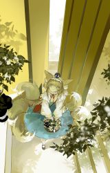 Rule 34 | 1girl, absurdres, animal, animal ears, animal on head, arknights, basket, black cat, black footwear, blonde hair, blue dress, blue hairband, cat, cat on head, cliuu u, dress, fox ears, fox girl, fox tail, frilled hairband, frills, from above, green eyes, hairband, highres, holding, holding basket, kitsune, long hair, long sleeves, looking at animal, luo xiaohei, multicolored hair, multiple tails, neck ribbon, official alternate costume, on head, pantyhose, red ribbon, ribbon, shoes, solo, streaked hair, suzuran (arknights), suzuran (spring praise) (arknights), tail, luo xiaohei zhanji, white hair, white pantyhose