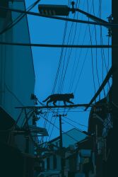 Rule 34 | animal, blue sky, blue theme, building, cat, city, guangyuan676, highres, no humans, outdoors, sky, valley, walking, wire