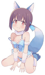 Rule 34 | 1girl, animal ears, blue hair, blue panties, blush, breasts, brown hair, closed mouth, fox ears, fox girl, fox tail, full body, hazuki mashiro, highres, hozuki momiji, kneeling, lingerie, looking at viewer, multicolored hair, navel, negligee, onii-chan wa oshimai!, panties, red eyes, simple background, small breasts, smile, solo, tail, underwear, white background