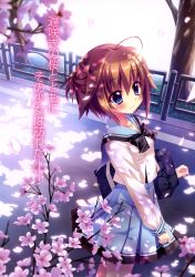 Rule 34 | 1girl, absurdres, blue eyes, blue skirt, blush, bow, cherry blossoms, collarbone, from above, hair ornament, hairclip, highres, izumi tsubasu, long sleeves, official art, outdoors, plant, pleated skirt, re:stage!, road, scan, school uniform, serafuku, shikimiya mana, short hair, skirt, smile, solo, standing, street, tree