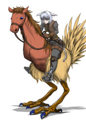 Rule 34 | 10s, 1boy, animal ears, artist request, bird, black pants, black shirt, blue eyes, brown hair, brown vest, chocobo, ears down, empty eyes, feathers, final fantasy, final fantasy xiv, frown, fusion, gauntlets, harness, horse, long sleeves, mane, miqo&#039;te, pants, reins, riding, saddle, shaded face, shirt, short hair, simple background, tail, talons, vest, warrior of light (ff14), white background, white hair