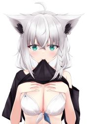 Rule 34 | absurdres, ahoge, animal ear fluff, animal ears, black shirt, blush, bra, braid, breasts, cleavage, clothes in mouth, commentary request, earrings, fox ears, fox girl, green eyes, hair between eyes, hands on own chest, highres, hololive, jewelry, kamesys, large breasts, looking at viewer, mouth hold, shirakami fubuki, shirt, shirt in mouth, sidelocks, simple background, single braid, underwear, virtual youtuber, white background, white bra, white hair